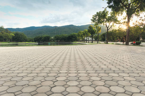 Best Residential Driveway Paver Services  in Dakota City, NE